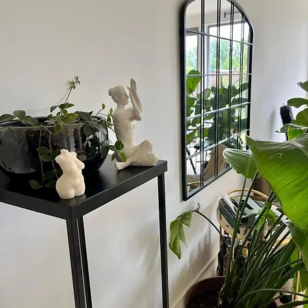 Spacious And Modern Apartment